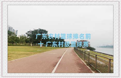 广东农村篮球排名前十 广东村级篮球赛